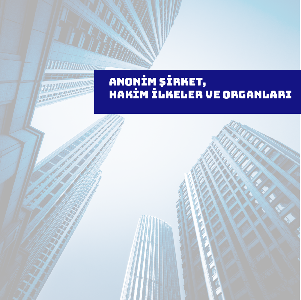 Anonim Şirket, Hakim İlkeler ve Organları