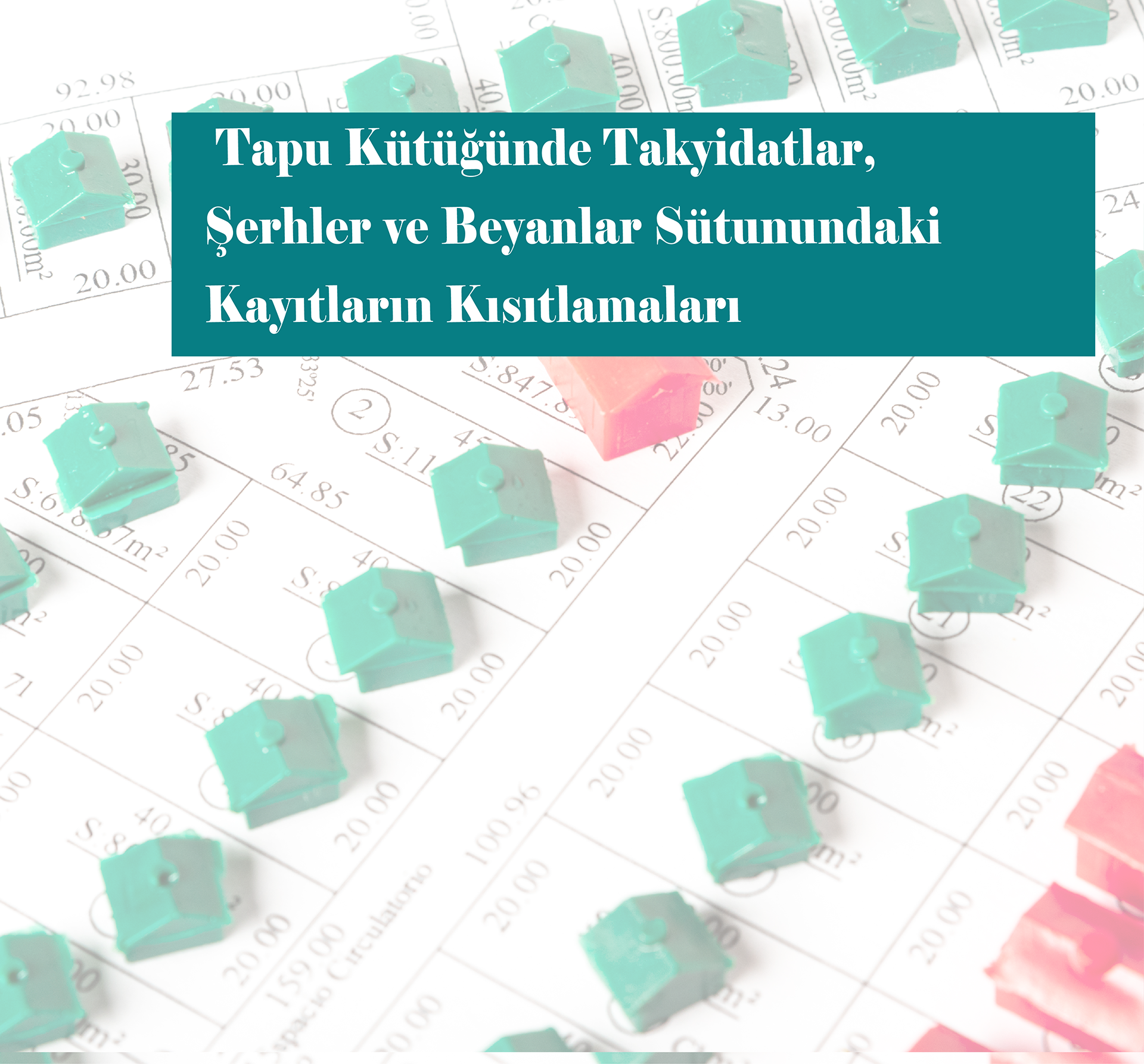 Tapu Kütüğünde Takyidatlar, Şerhler Ve Beyanlar Sütunundaki Kayıtların Kısıtlamaları
