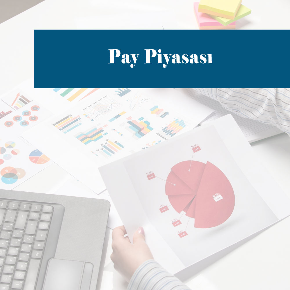 Pay Piyasası