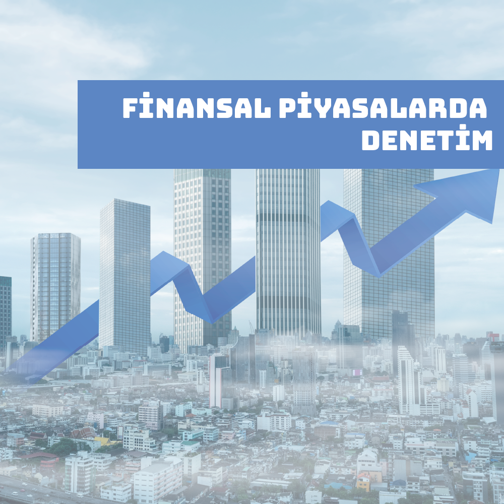 Finansal Piyasalarda Denetim