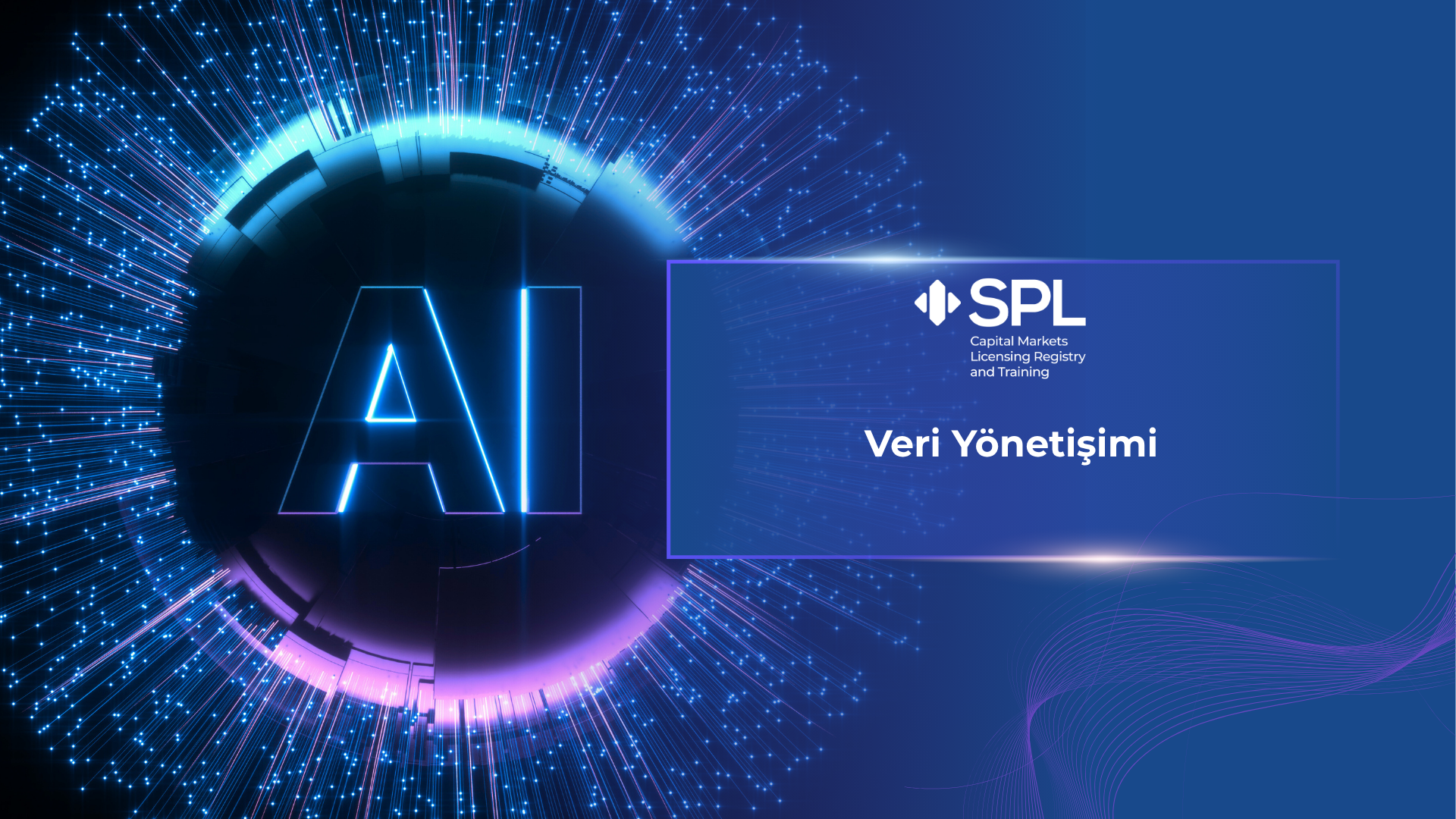 Veri Yönetişimi