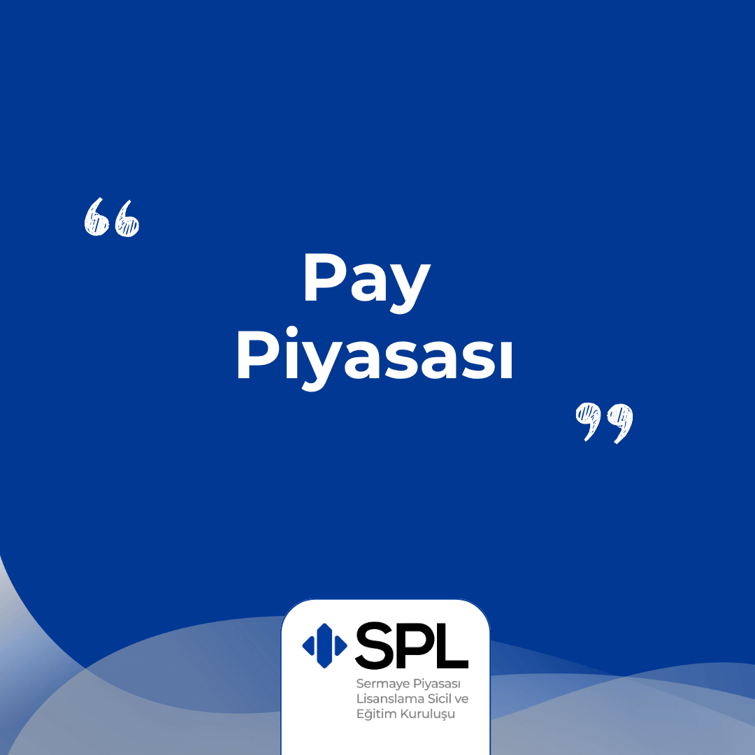 Pay Piyasası