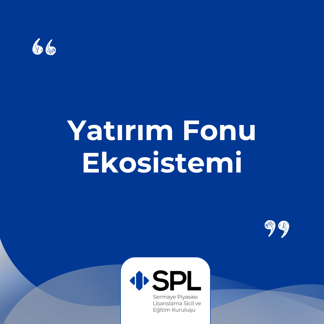 Yatırım Fonu Ekosistemi 