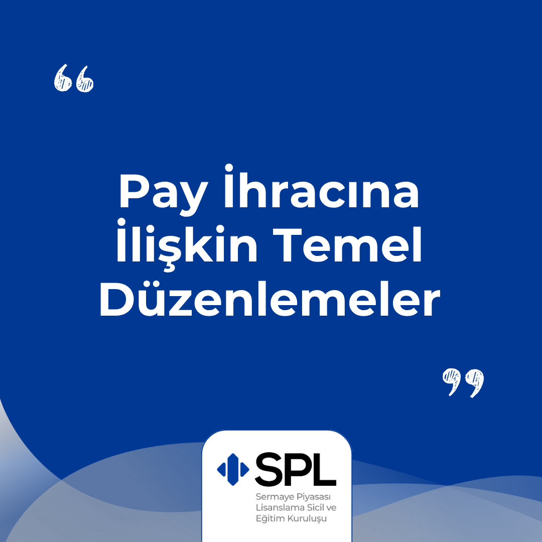 Pay İhracına İlişkin Temel Düzenlemeler