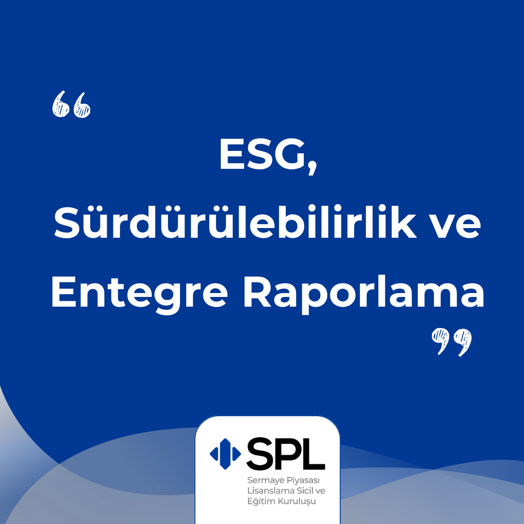 ESG, Sürdürülebilirlik ve Entegre Raporlama