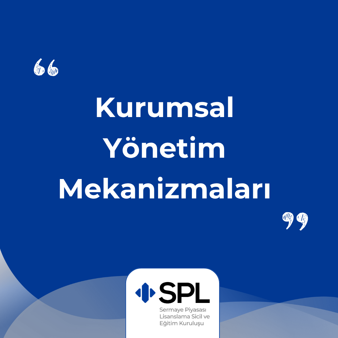 Kurumsal Yönetim Mekanizmaları