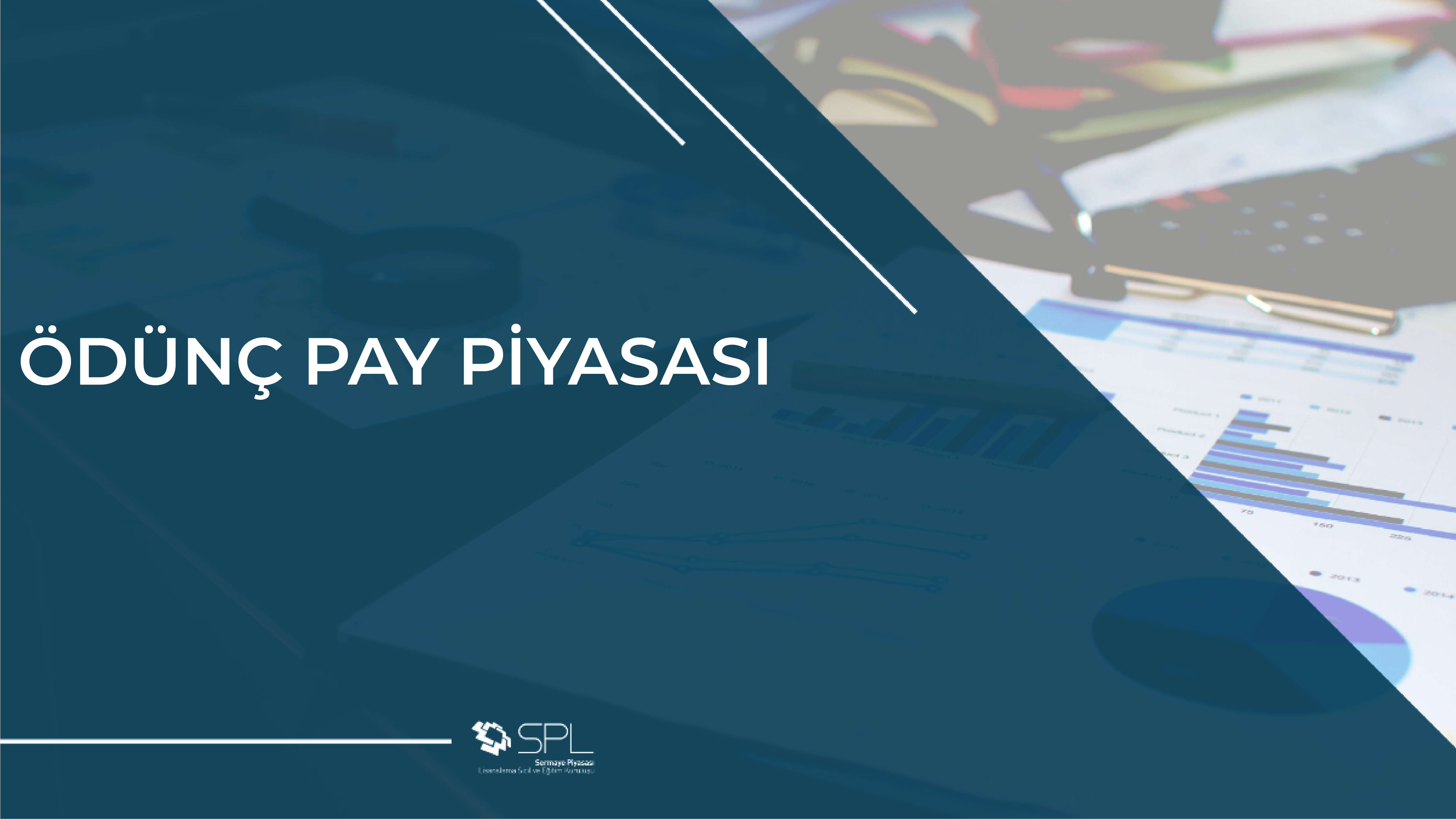Ödünç Pay Piyasası 